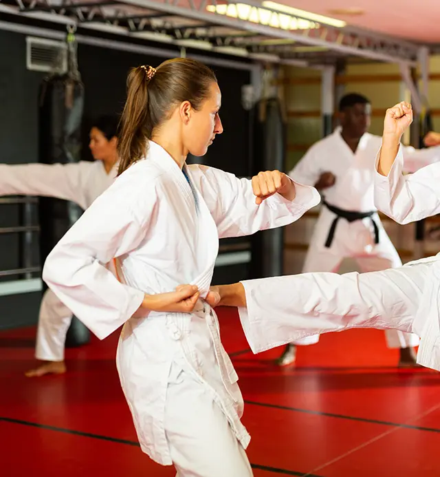 Vybavení pro karate